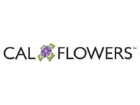 cal flowers - New bloom Solutions