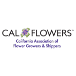 NBS Social Media Calendar-Nov 2025 (2)