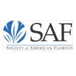 NBS Social Media Calendar-Nov 2025 (3)