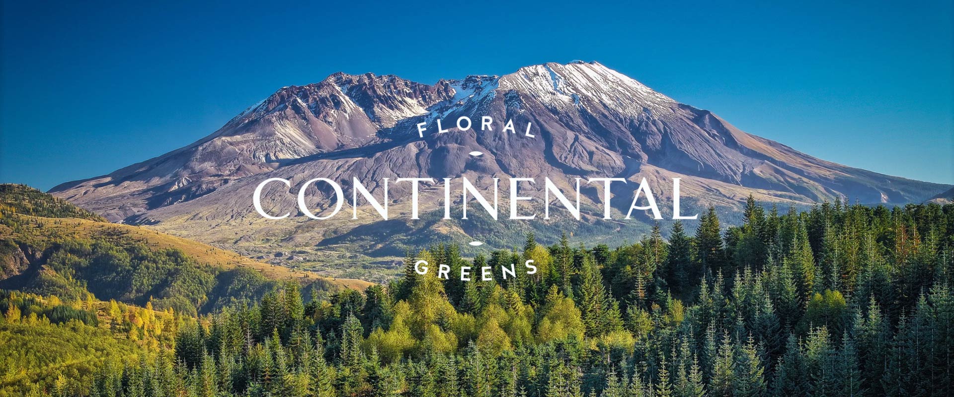 Fresh Cut, Direct from the farm