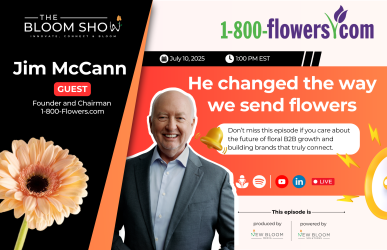 Announcement Post YouTube