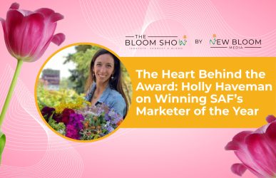Blog Holly Haveman