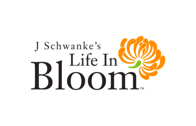 life in bloom viewers