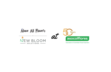 proflora international flower show