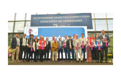 asocolflores distributed awards
