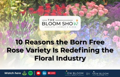 Blooming News SM (1920 x 1080 px)