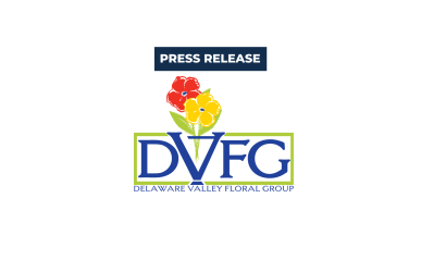 DVFG