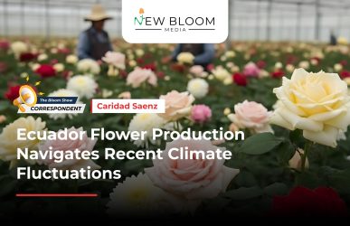 TBS Correspondent Insight Blogs_ Caridad Saenz 2