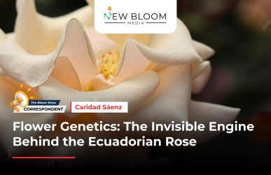 TBS Correspondent Insight Blogs_ Caridad Saenz 3