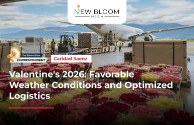 TBS Correspondent Insight Blogs_ Caridad Saenz