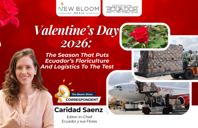 TBS -Cover Image (77)