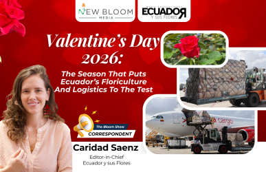 TBS -Cover Image (80)