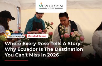 Where Every Rose tells a Story_ Why Ecuador is the Destination you can't miss in 2026