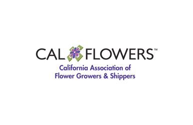 cal flowers (1)