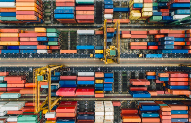 5 Difficulties The Floral Supply Chain Encounters