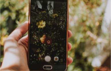 How to Use Instagram to Increase Sales Within the Floral Industry