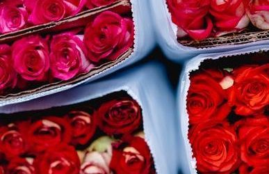 5 Tips for Florists and Wholesalers to Achieve Valentine’s Day Success
