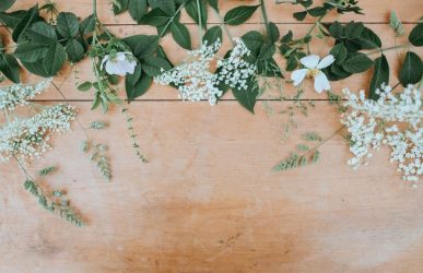 Floral Industry Websites